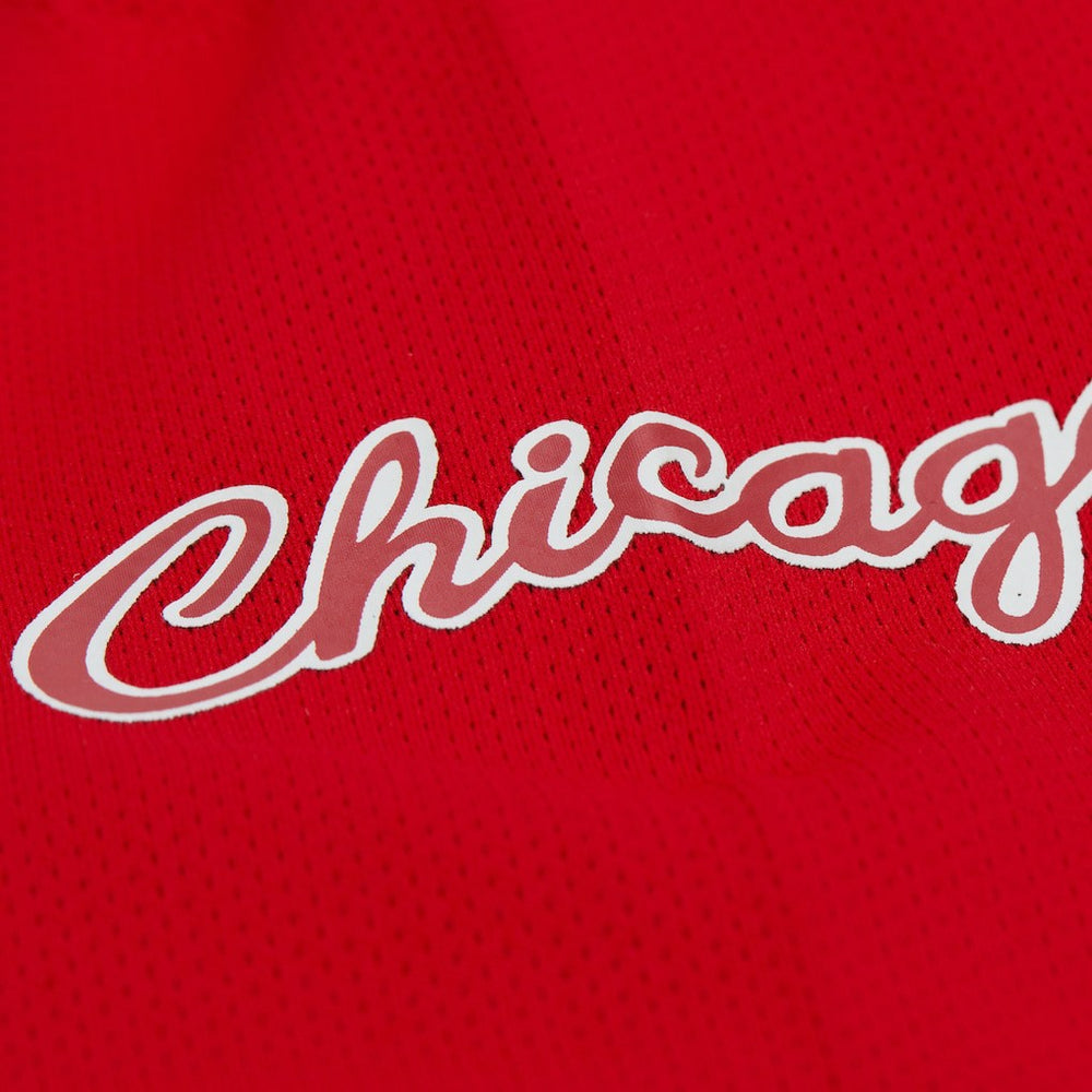 Dennis Rodman Chicago Bulls Unisex Maxxed Out Fashion Hockey Jersey sale - Red | Mitchell & Ness outlet