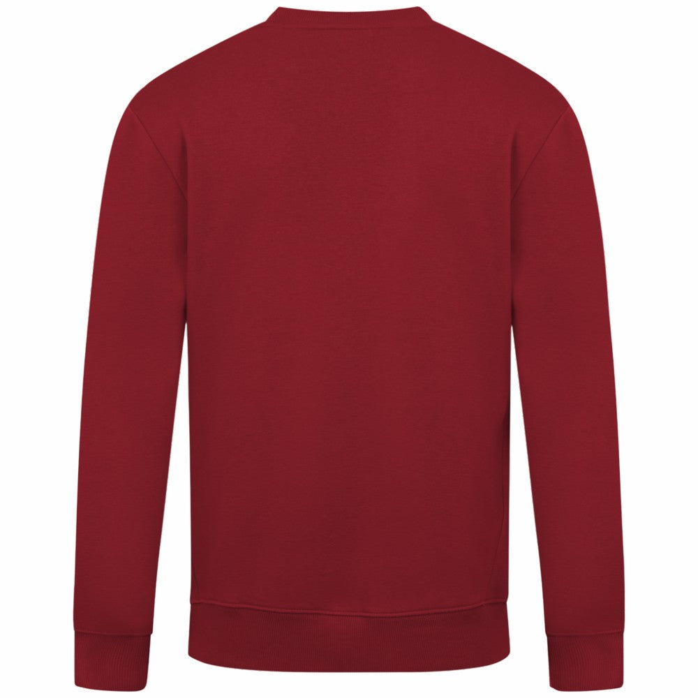 Arizona Diamondbacks Levelwear Zane Banner Arch Sweatshirt - Red