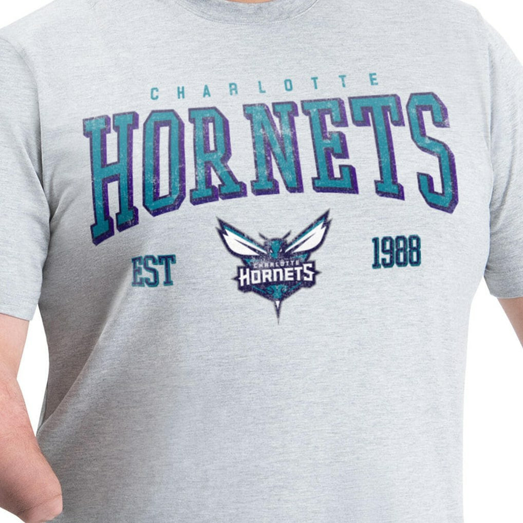 Charlotte Hornets G-III Sports by Carl Banks Adaptive Classic Team Spirit Short Sleeve T-Shirt - Gray cheap