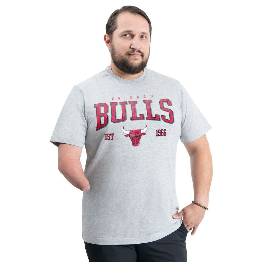 Chicago Bulls G-III Sports by Carl Banks Adaptive Classic Team Spirit Short Sleeve T-Shirt sale - Gray for sale
