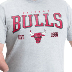 Chicago Bulls G-III Sports by Carl Banks Adaptive Classic Team Spirit Short Sleeve T-Shirt sale - Gray for sale