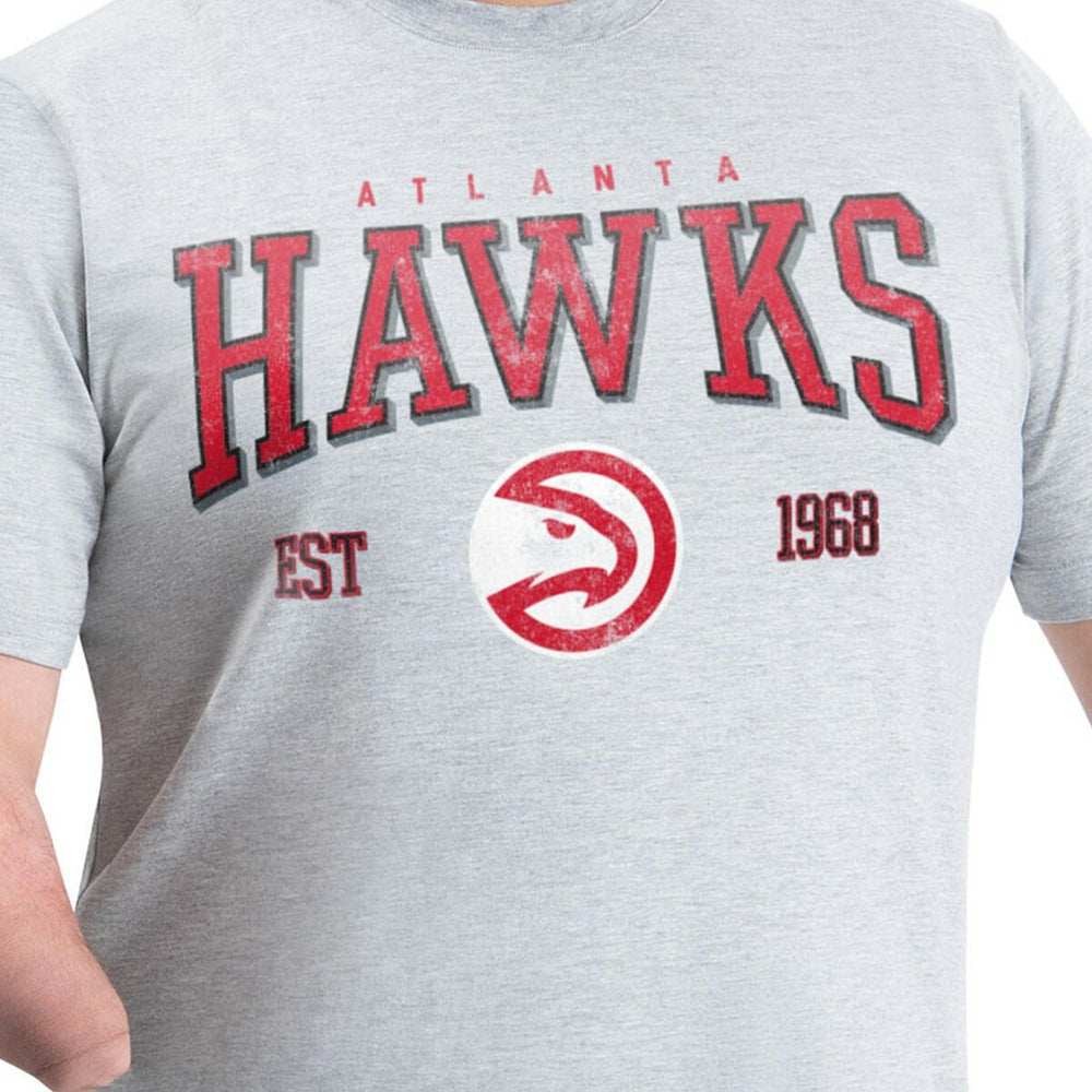 Atlanta Hawks G-III Sports by Carl Banks Adaptive Classic Team Spirit Short Sleeve T-Shirt - Gray for sale