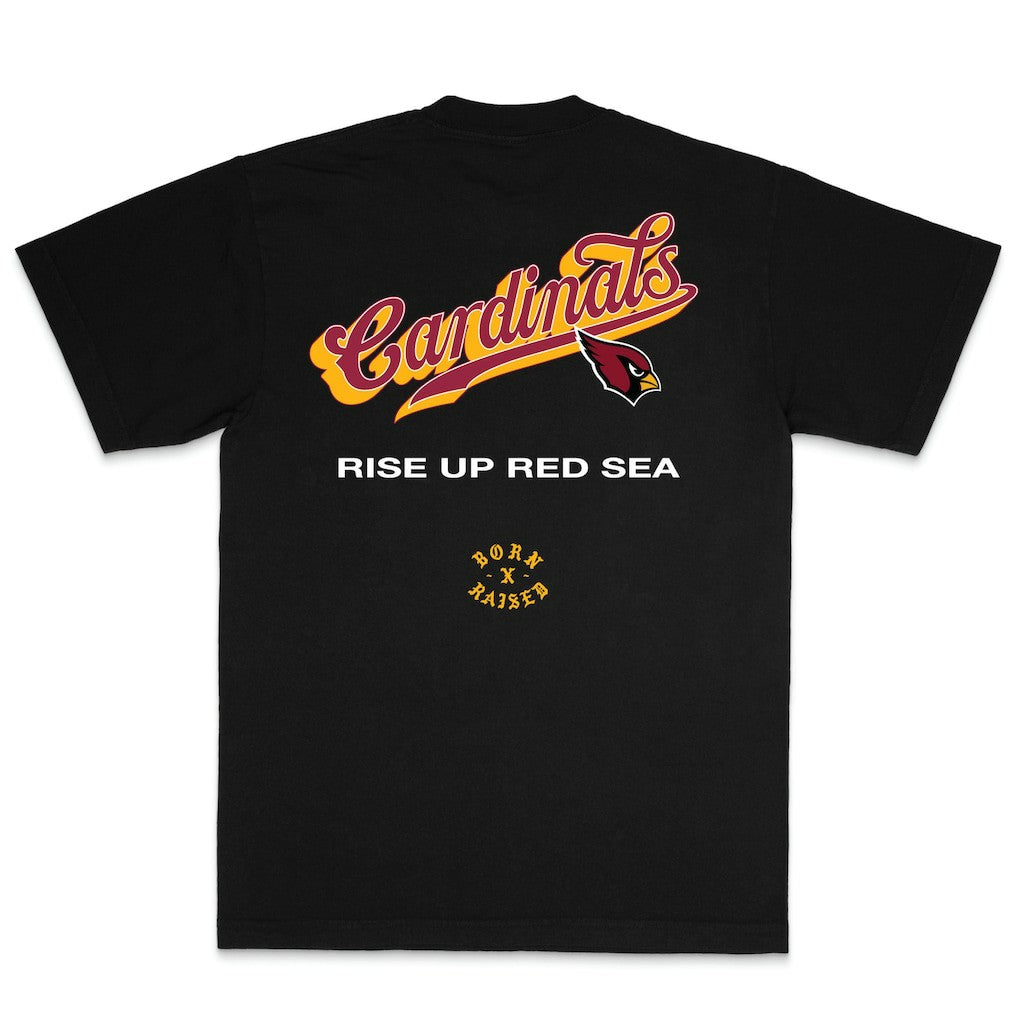 Arizona Cardinals Born x Raised Unisex Pro Script T-Shirt - Black discount