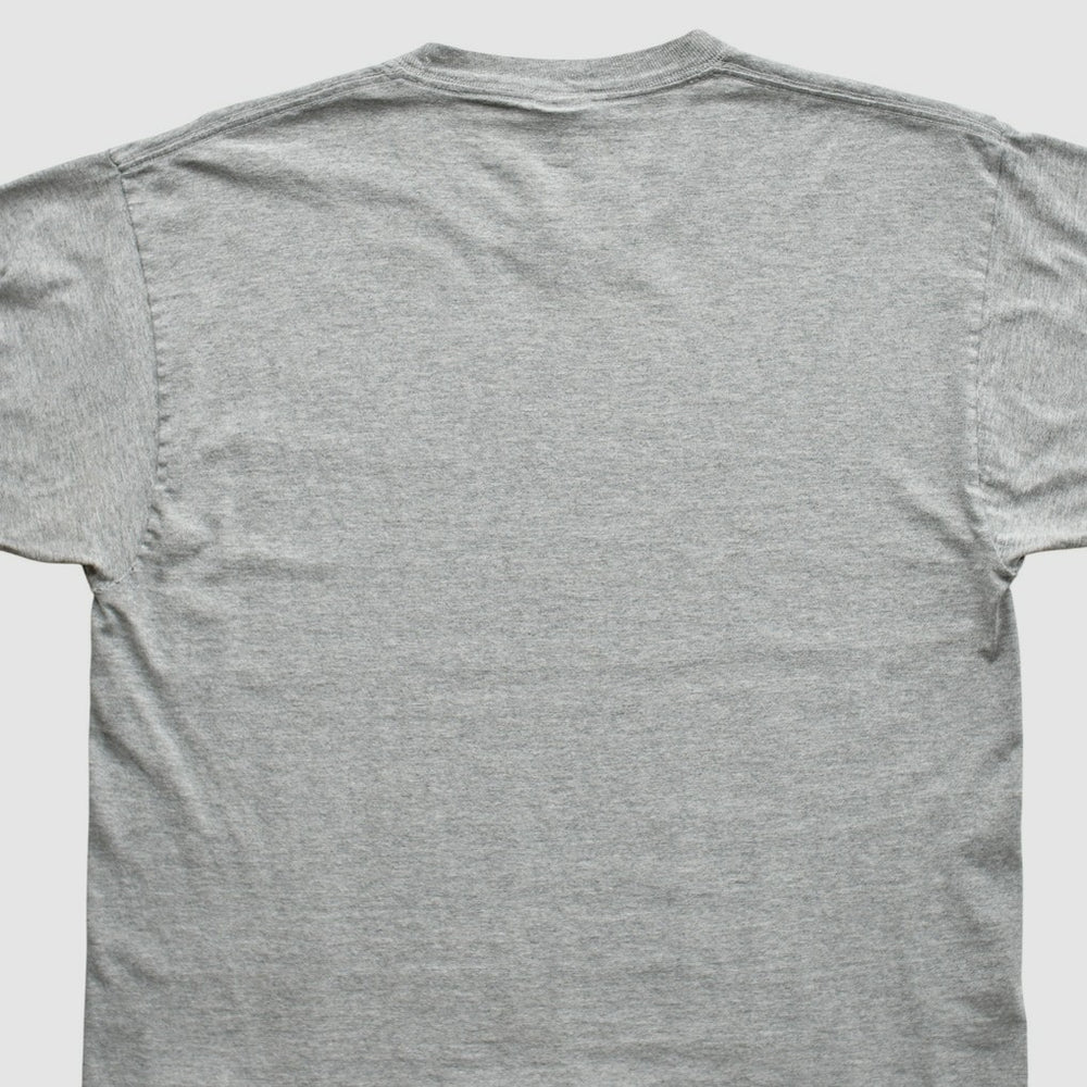 Pittsburgh Steelers Reebok 2000s T-Shirt - Gray Vintage online