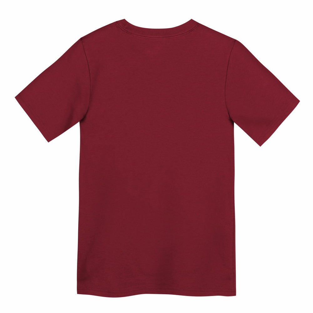 Tampa Bay Buccaneers Preschool Icon Legend Dri-FIT T-Shirt - Red | Nike sale