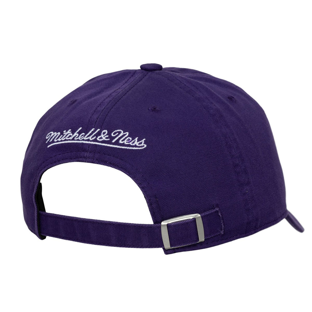 Toronto Raptors Hardwood Classics 1904 Adjustable Hat - Purple | Mitchell & Ness for sale