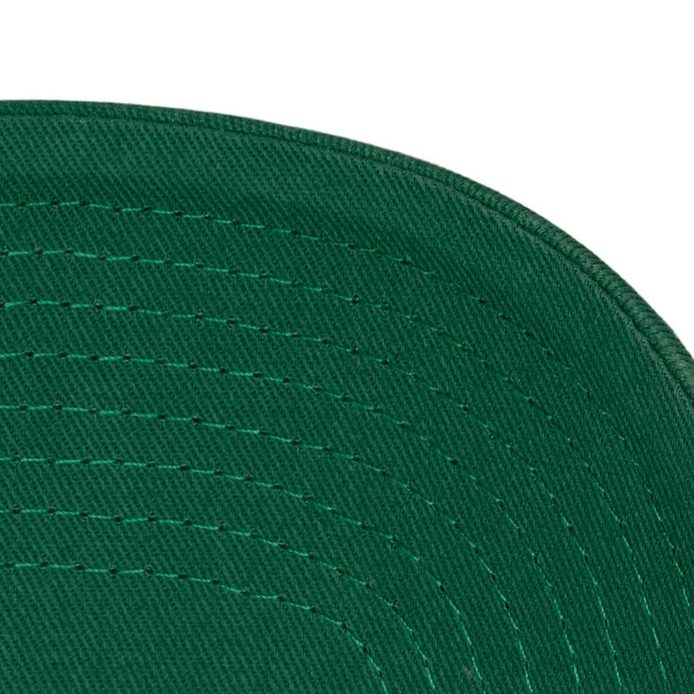 Boston Celtics Hardwood Classics 1904 Adjustable Hat - Kelly Green | Mitchell & Ness for sale
