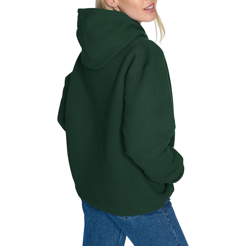 Boston Celtics Starter Women's Arch Stripe Fleece Hoodie - Kelly Green sale