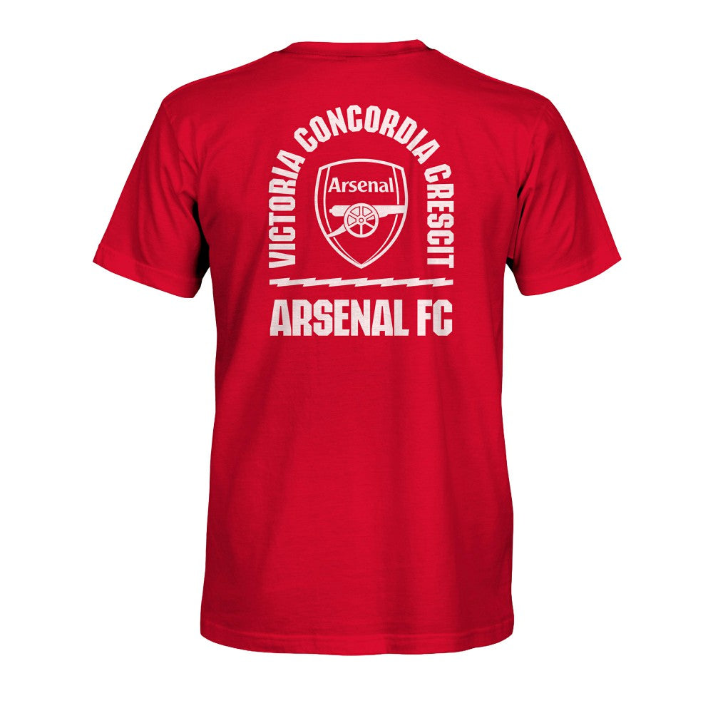 Arsenal 1863FC True To Glory Heavyweight T-Shirt - Red online