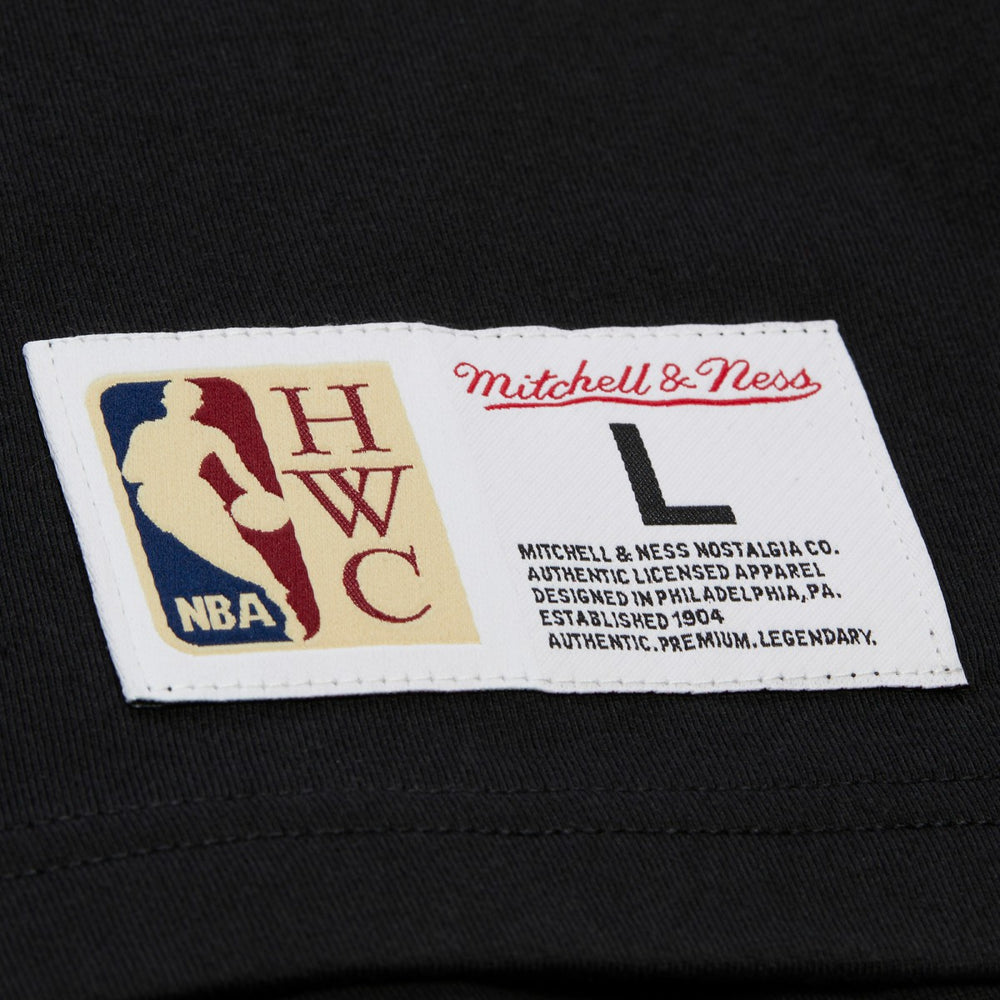 Phoenix Suns Hardwood Classics Throw It Back Premium T-Shirt - Black | Mitchell & Ness online