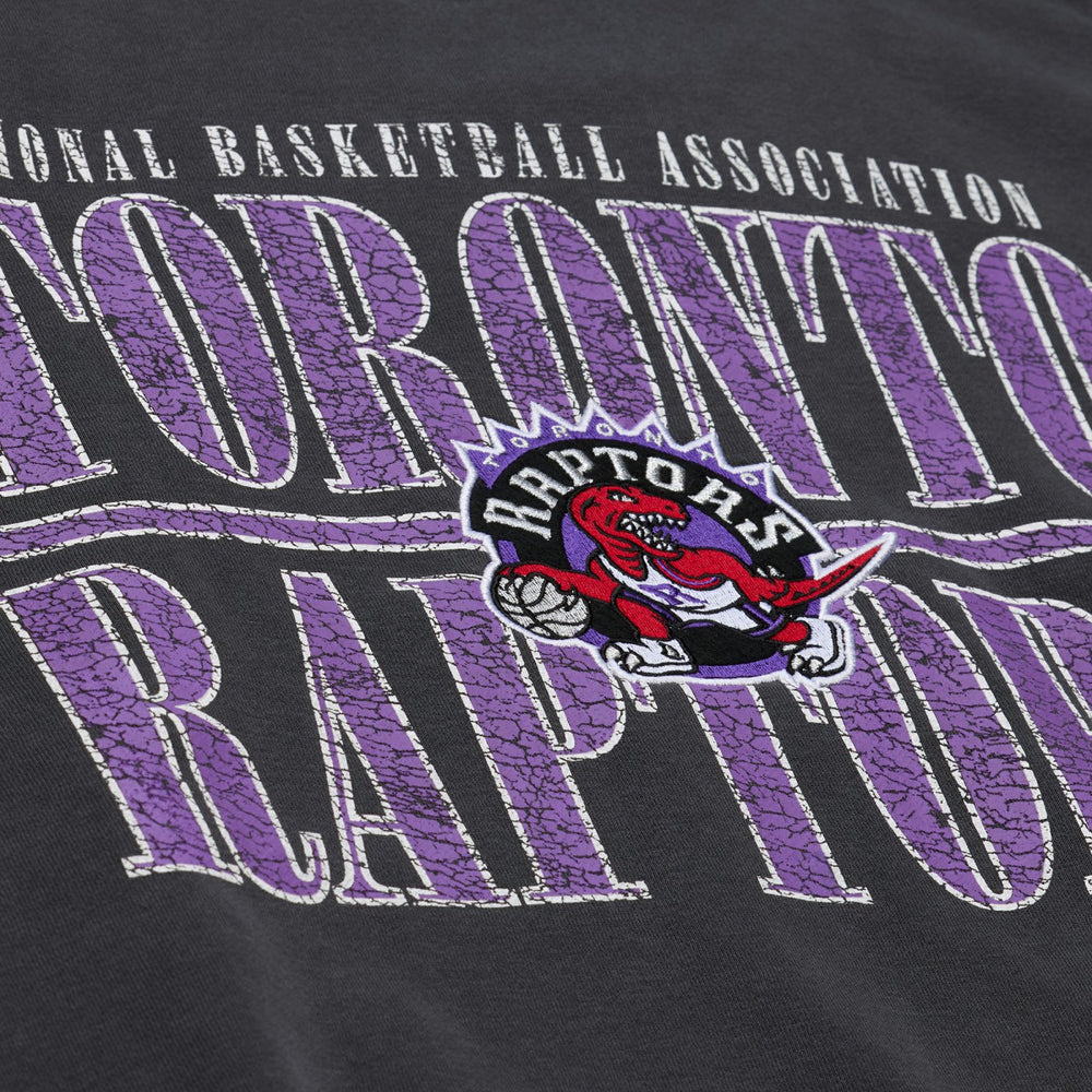 Toronto Raptors NBA Downtown Collection Fleece Sweatshirt - Black | Mitchell & Ness discount