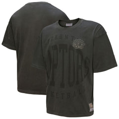 Toronto Raptors Downtown Collection Premium T-Shirt - Black | Mitchell & Ness outlet