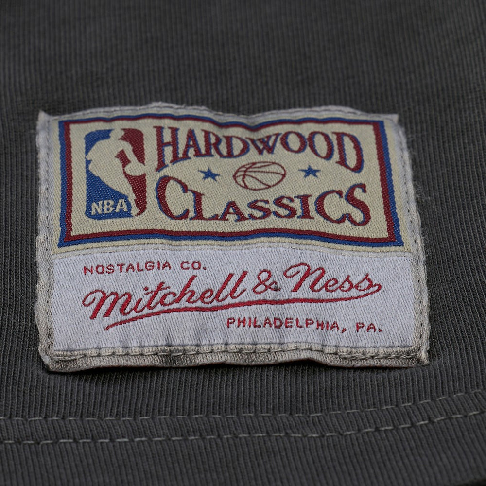 Charlotte Hornets Downtown Collection Premium T-Shirt - Black | Mitchell & Ness sale