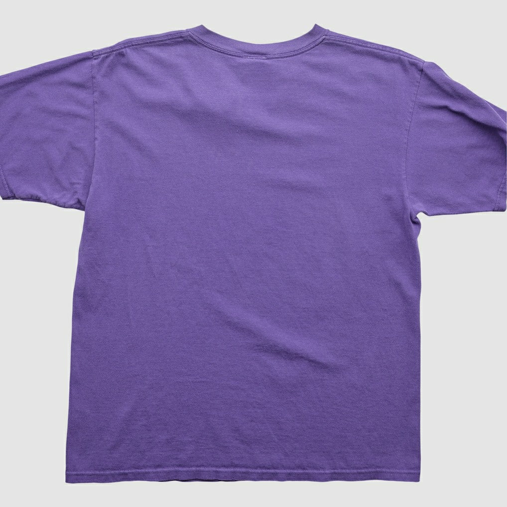Minnesota Vikings NFL 2000s T-Shirt - Purple Vintage on sale