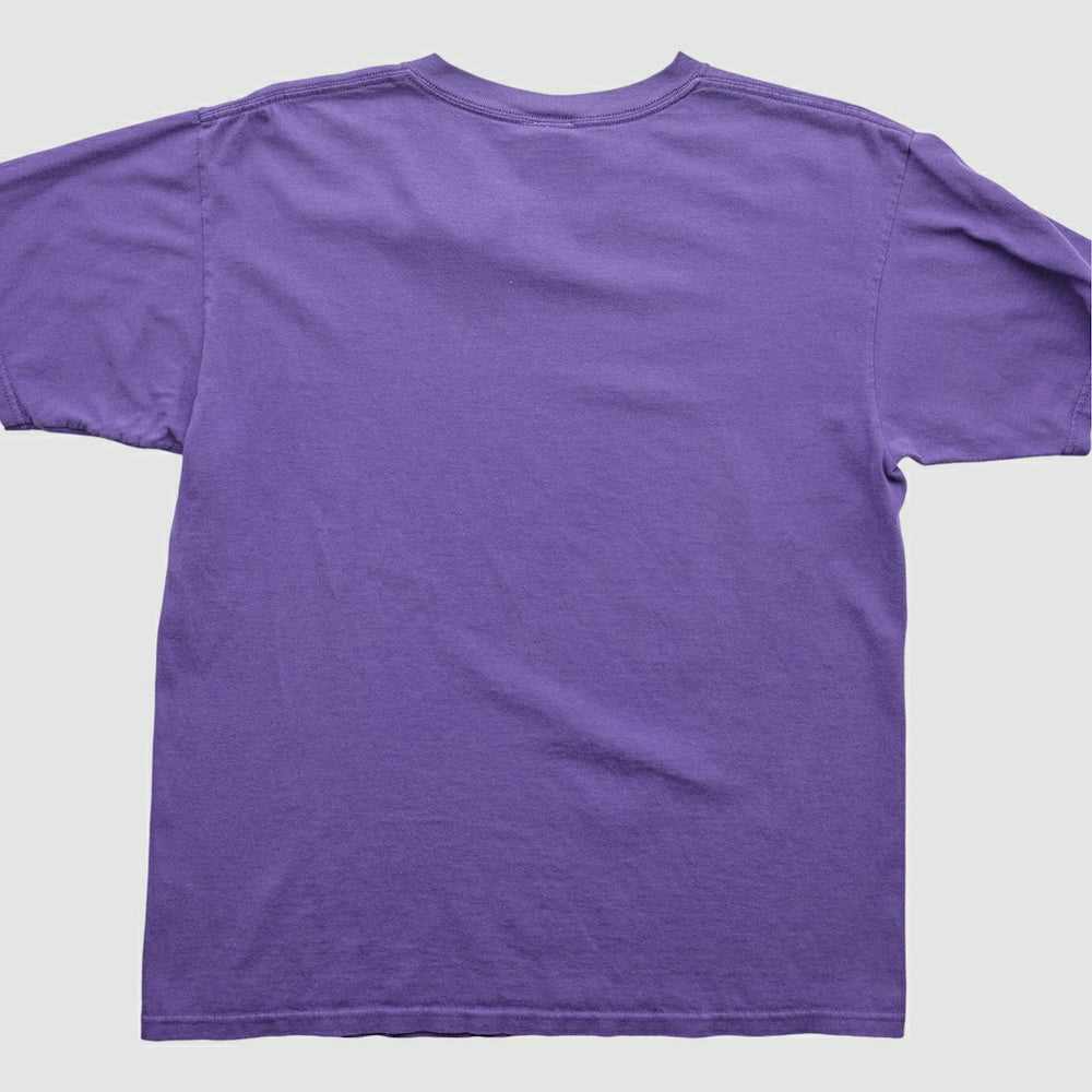 Minnesota Vikings NFL 2000s T-Shirt - Purple Vintage on sale