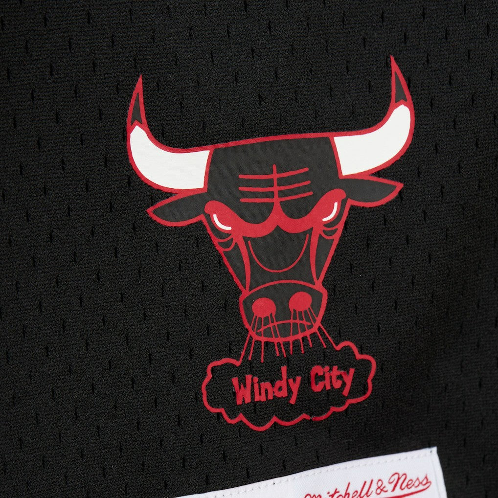 Dennis Rodman Chicago Bulls Mesh Name & Number Short Sleeve Hoodie sale - Black | Mitchell & Ness on sale