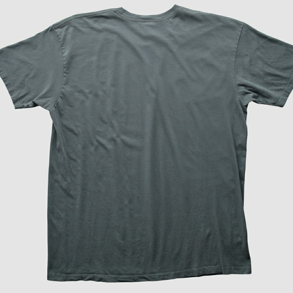 Pittsburgh Steelers NFL 2010s T-shirt - Charcoal Vintage online
