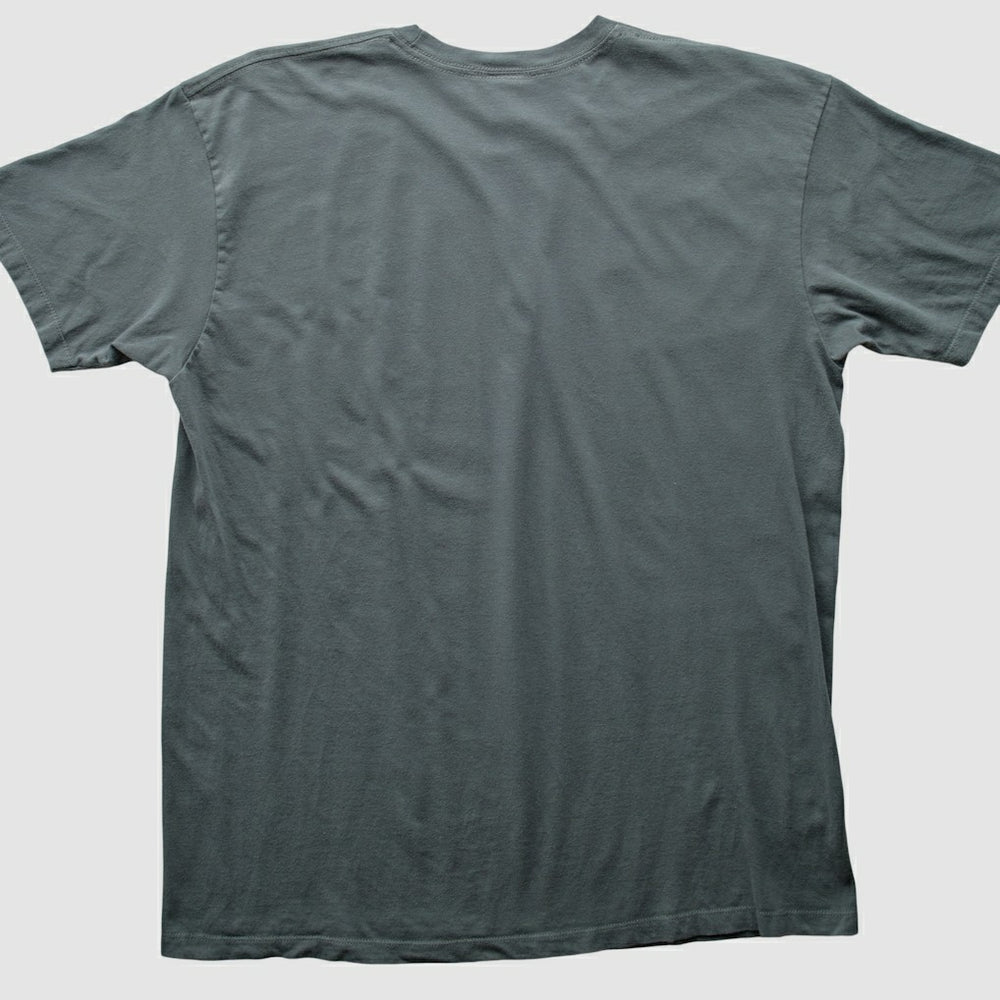 Pittsburgh Steelers NFL 2010s T-shirt - Charcoal Vintage online