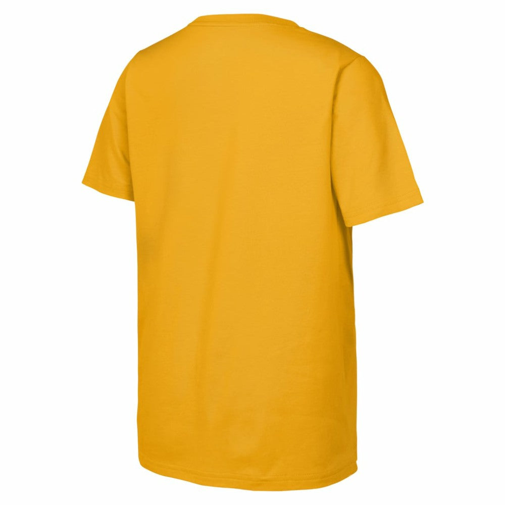 Boston Bruins Fanatics Youth 2026 NHL Stadium Series Authentic Locker Room T-Shirt Gold