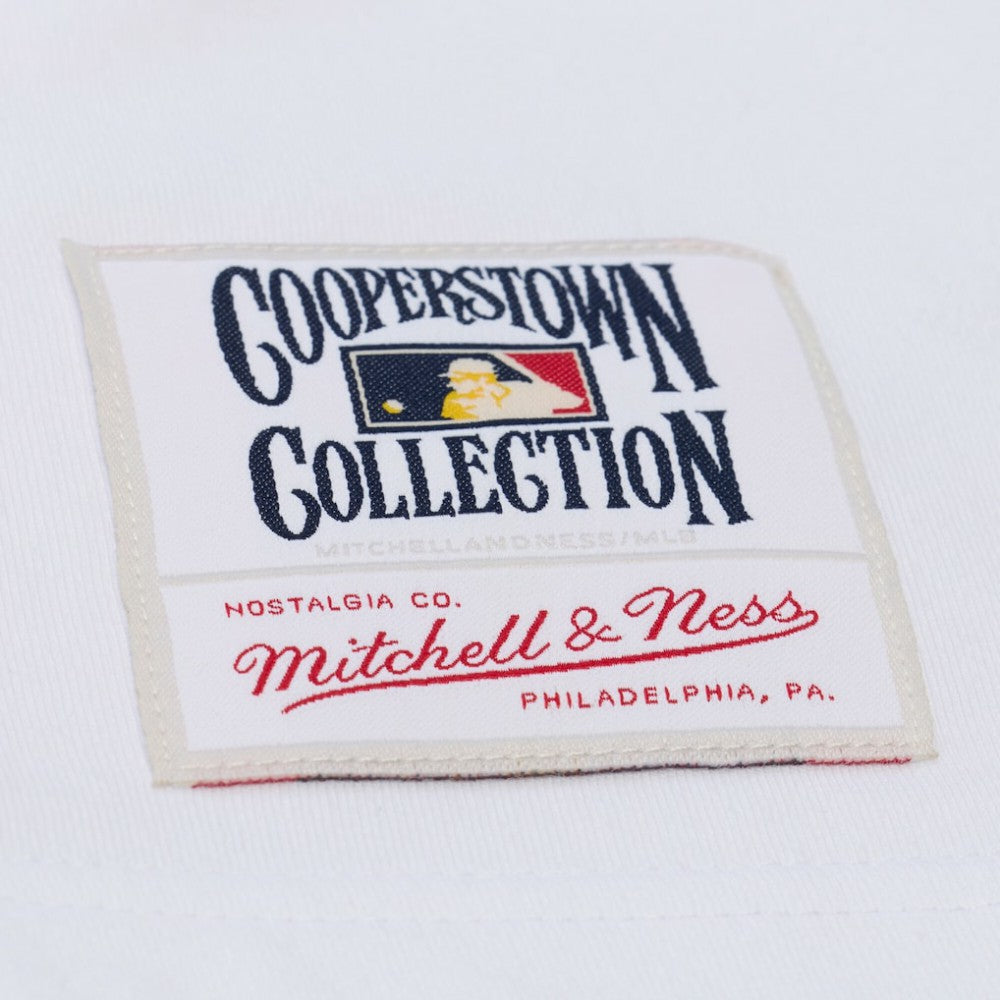 San Francisco Giants Cooperstown Collection Arctic T-Shirt - White | Mitchell & Ness