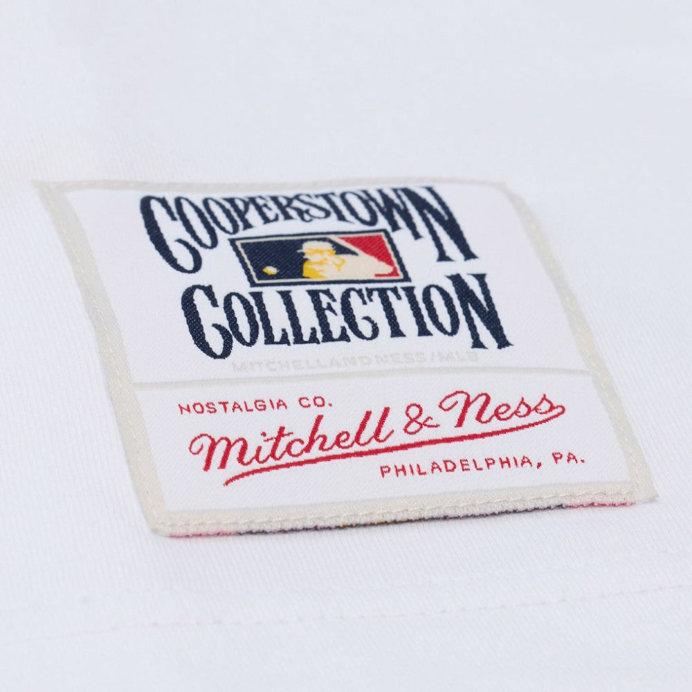 Los Angeles Dodgers Cooperstown Collection Arctic T-Shirt - White | Mitchell & Ness