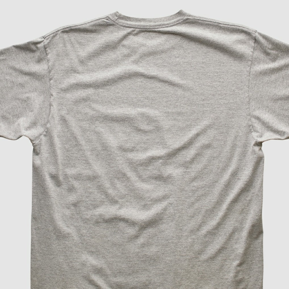 Pittsburgh Steelers Reebok 2006 T-shirt - Heather Gray Vintage on sale
