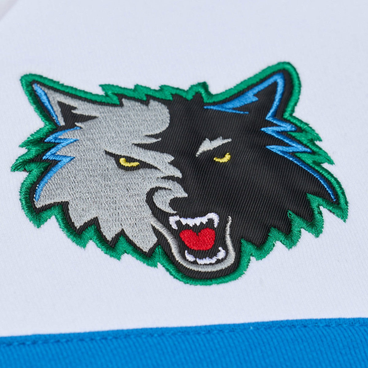 Minnesota Timberwolves Head Coach Hoodie - Black | Mitchell & Ness outlet