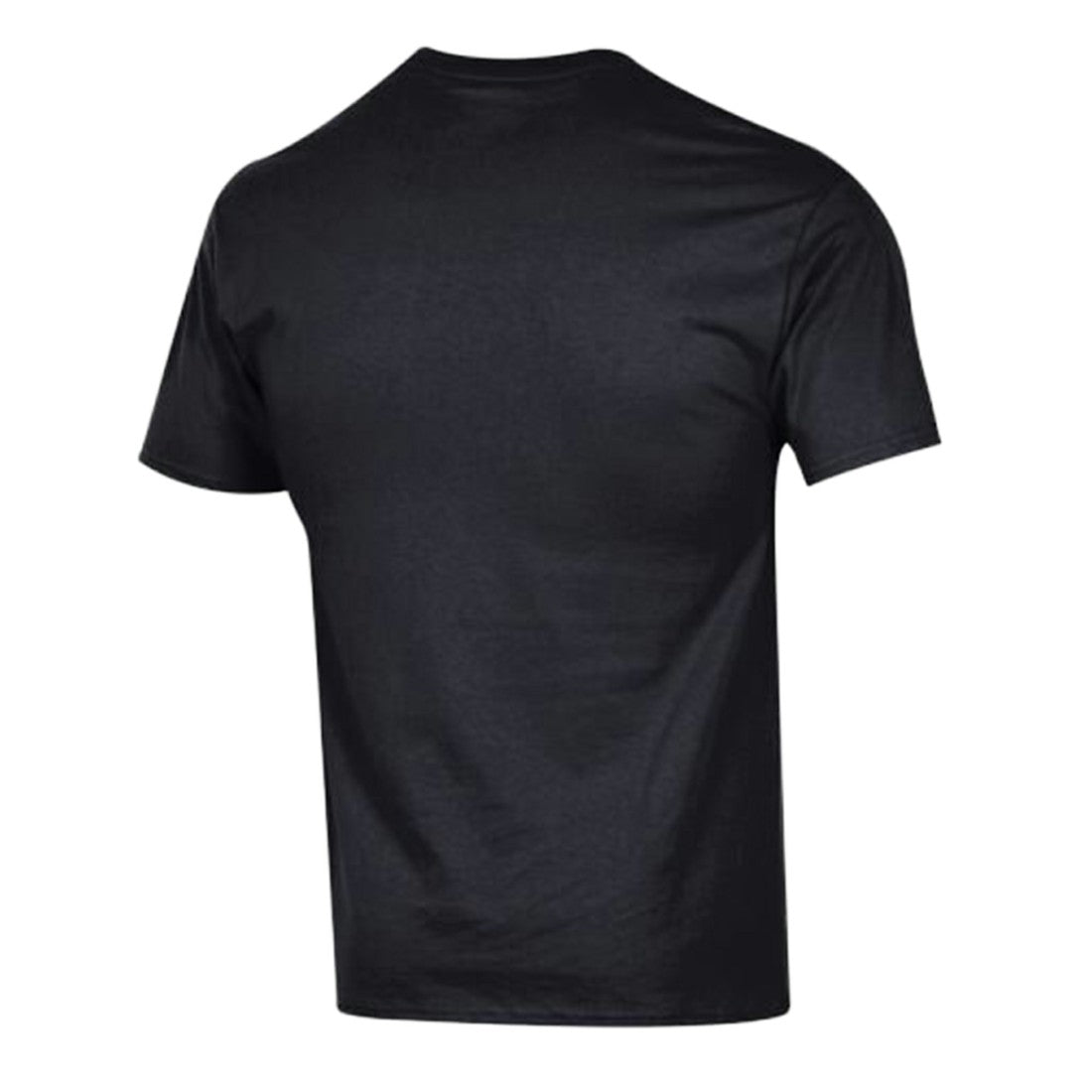 Detroit Lions Champion Arch Over Logo T-Shirt - Black discount