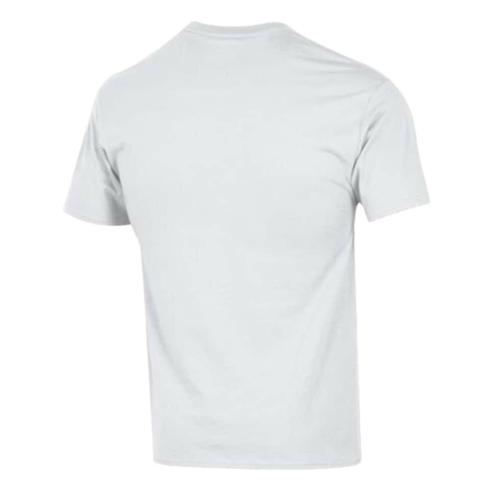 Miami Dolphins Champion Arch Over Logo T-Shirt - White cheap