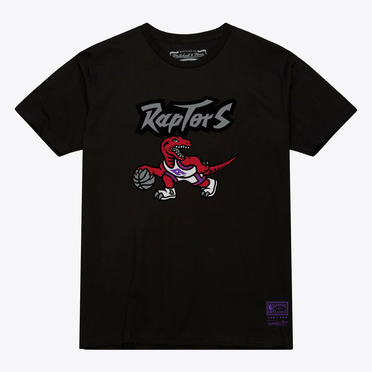 Toronto Raptors Unisex Hardwood Classics Arch T-Shirt - Black | Mitchell & Ness cheap