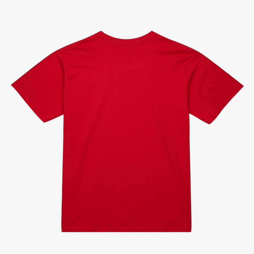 Atlanta Hawks Unisex Hardwood Classics Arch T-Shirt - Red | Mitchell & Ness online