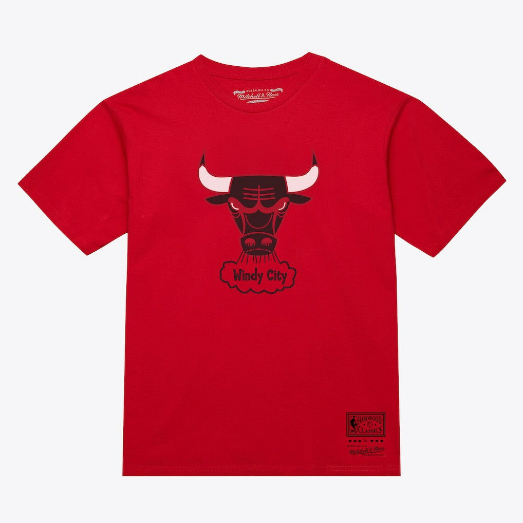 Chicago Bulls Unisex Hardwood Classics Arch T-Shirt sale - Red | Mitchell & Ness shop