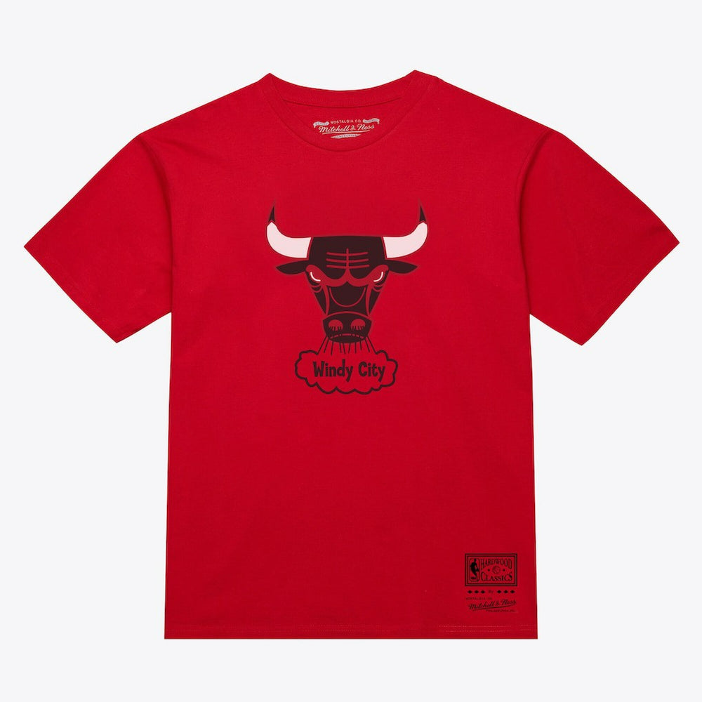 Chicago Bulls Unisex Hardwood Classics Arch T-Shirt sale - Red | Mitchell & Ness shop