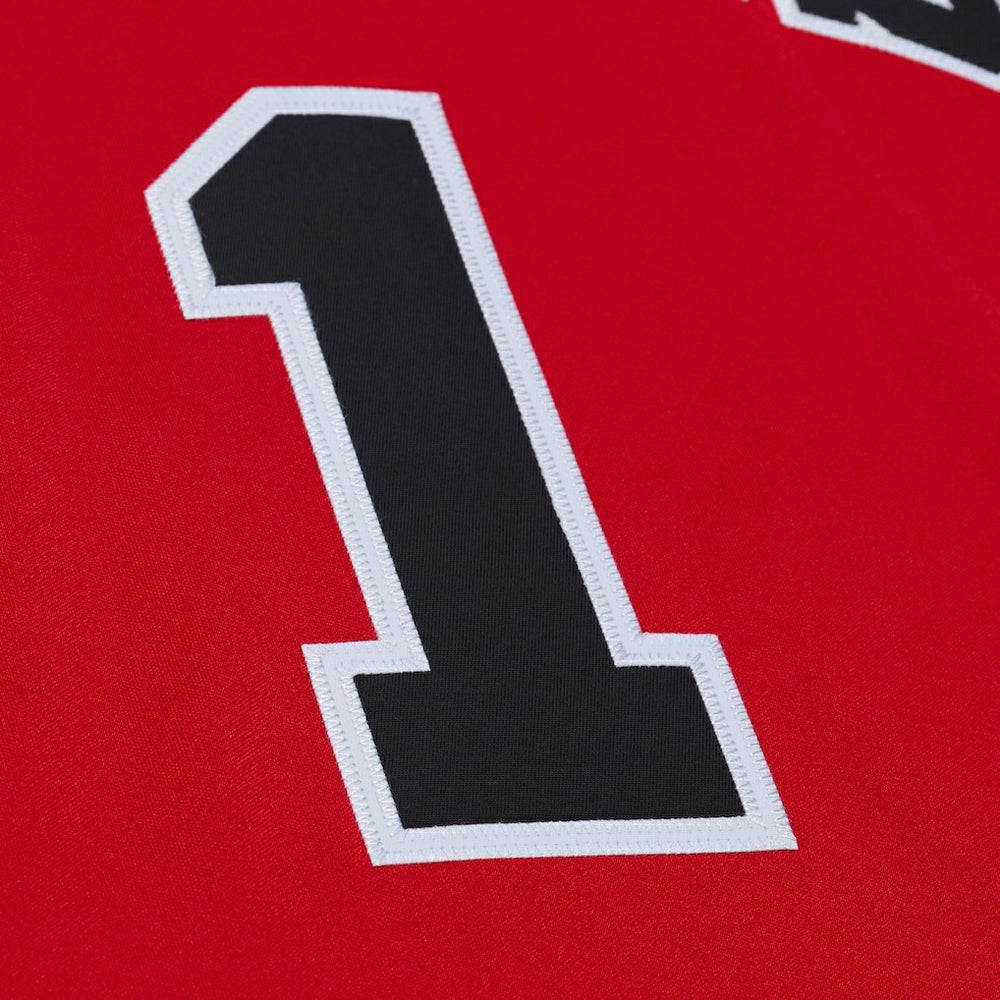 Derrick Rose Chicago Bulls 2008-09 Authentic Jersey sale - Red | Mitchell & Ness for sale