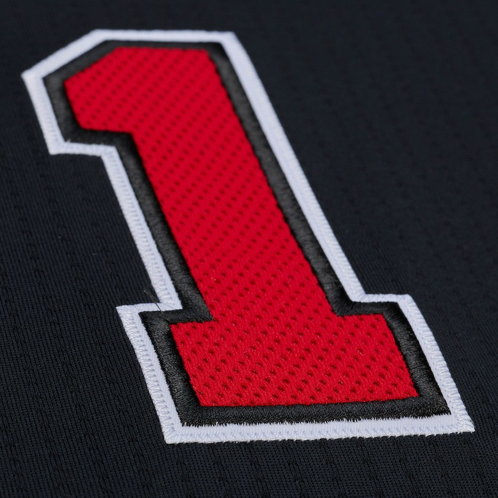 Derrick Rose Chicago Bulls 2010-11 Authentic Jersey sale - Black | Mitchell & Ness cheap