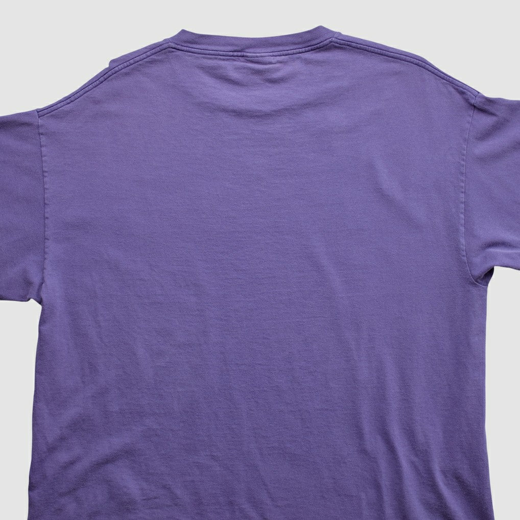 Minnesota Vikings Lee Apparel 2000s T-shirt - Purple Vintage sale
