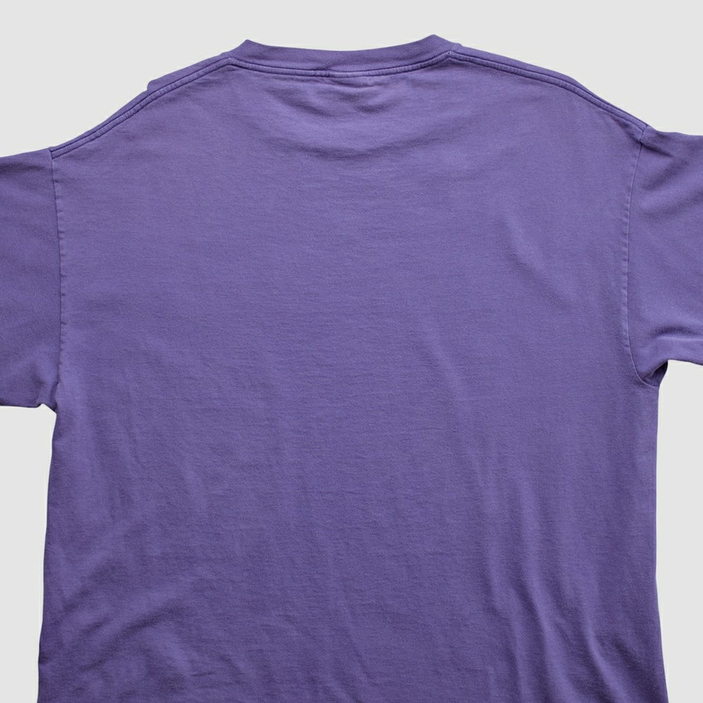 Minnesota Vikings Lee Apparel 2000s T-shirt - Purple Vintage sale
