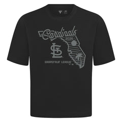 St. Louis Cardinals Levelwear Sunrise Luxe Signature Knit T-Shirt - Black