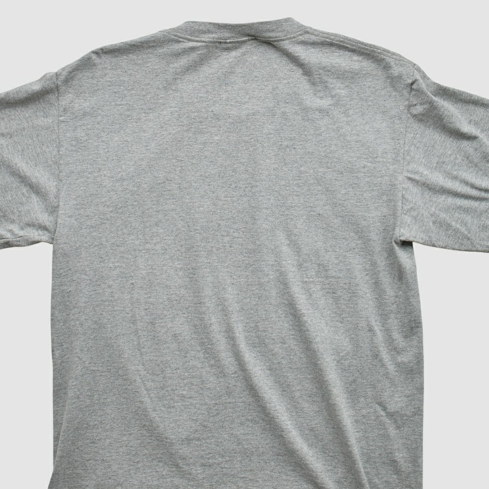 Green Bay Packers Lee Apparel 90s T-shirt - Heather Gray Vintage online