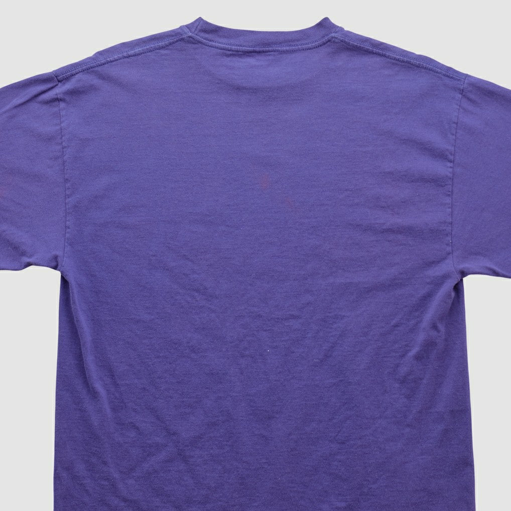 Minnesota Vikings Tultex 90s T-shirt - Purple Vintage online