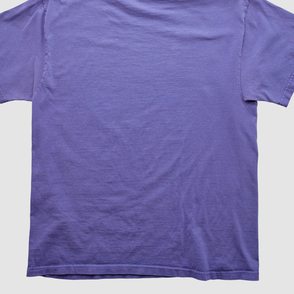 Minnesota Vikings NFL 2000s T-shirt - Purple Vintage cheap