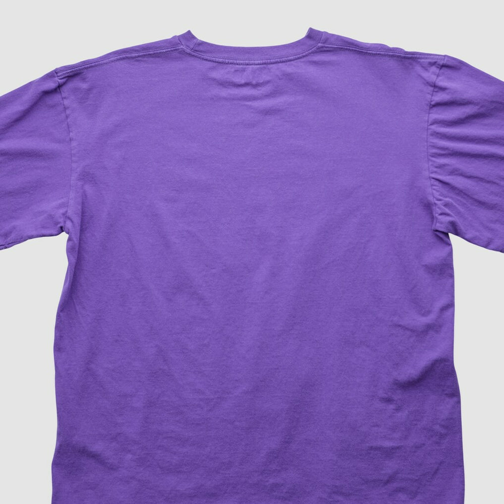 Minnesota Vikings NFL 2000s T-shirt - Purple Vintage cheap