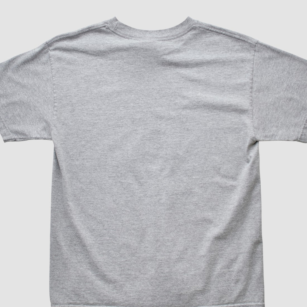 Denver Broncos NFL 2000s T-shirt - Heather Gray Vintage cheap
