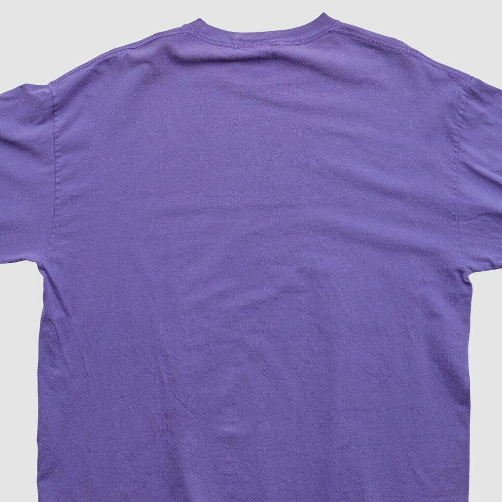Minnesota Vikings NFL 2010s Long Sleeve T-shirt - Purple Vintage discount