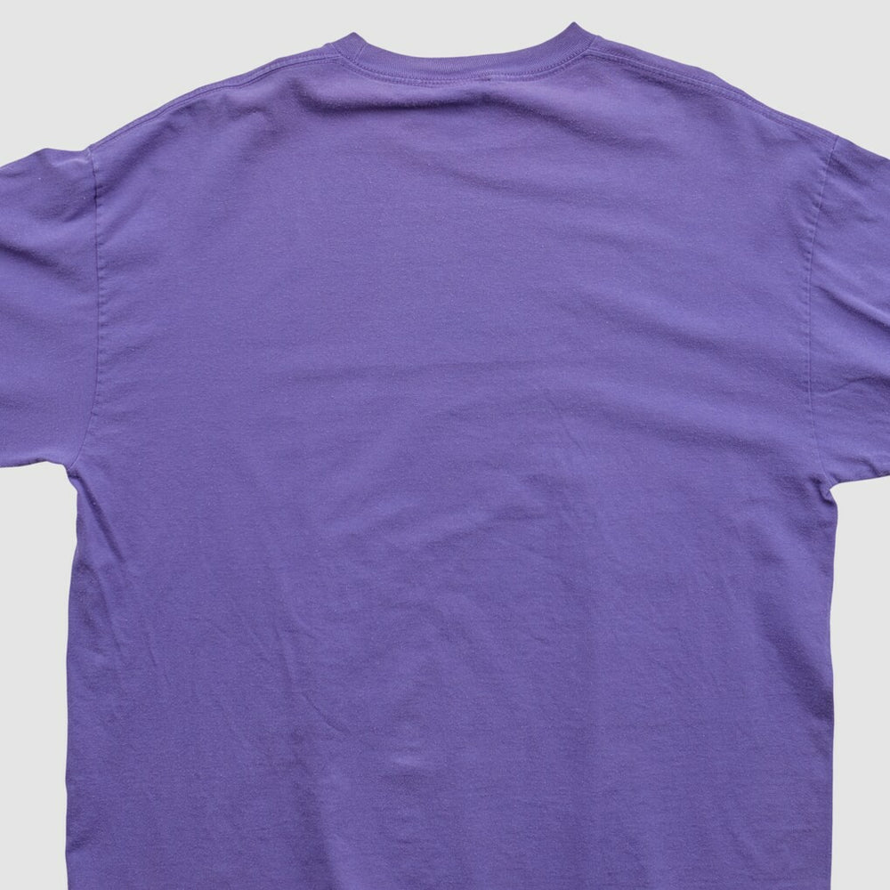 Minnesota Vikings NFL 2010s Long Sleeve T-shirt - Purple Vintage discount