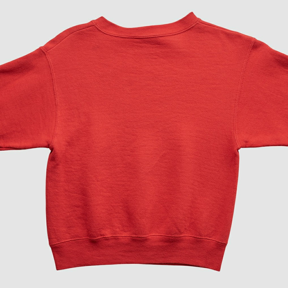Chicago Bulls Lee Apparel 90s Pullover Sweatshirt - Red Vintage | Vintage discount