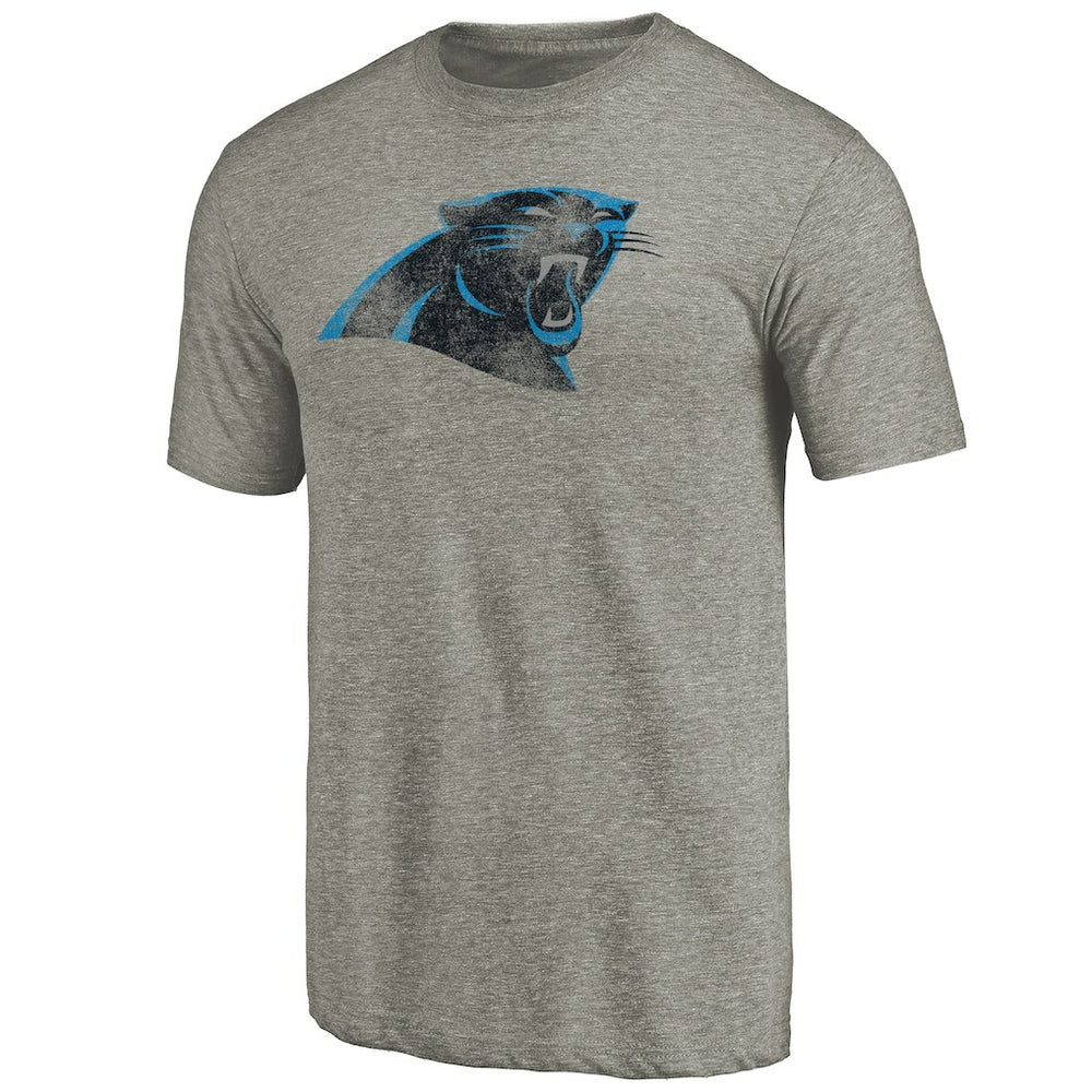Carolina Panthers Distressed Team T-Shirt - Ash sale