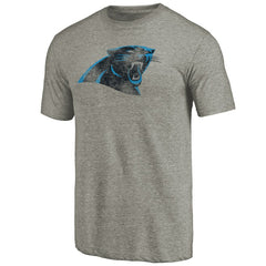 Carolina Panthers Distressed Team T-Shirt - Ash sale
