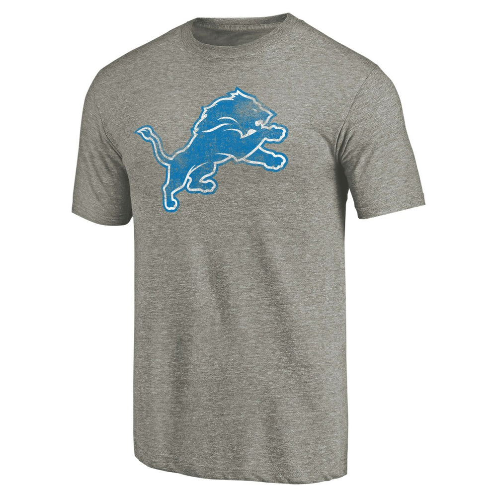 Detroit Lions Distressed Team T-Shirt - Ash on sale