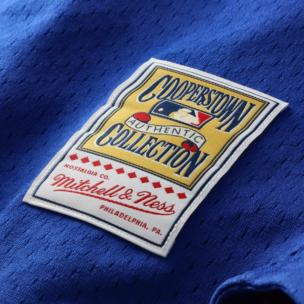 Mike Piazza Los Angeles Dodgers Cooperstown Collection Mesh Batting Practice Button-Up Jersey - Royal | Mitchell & Ness